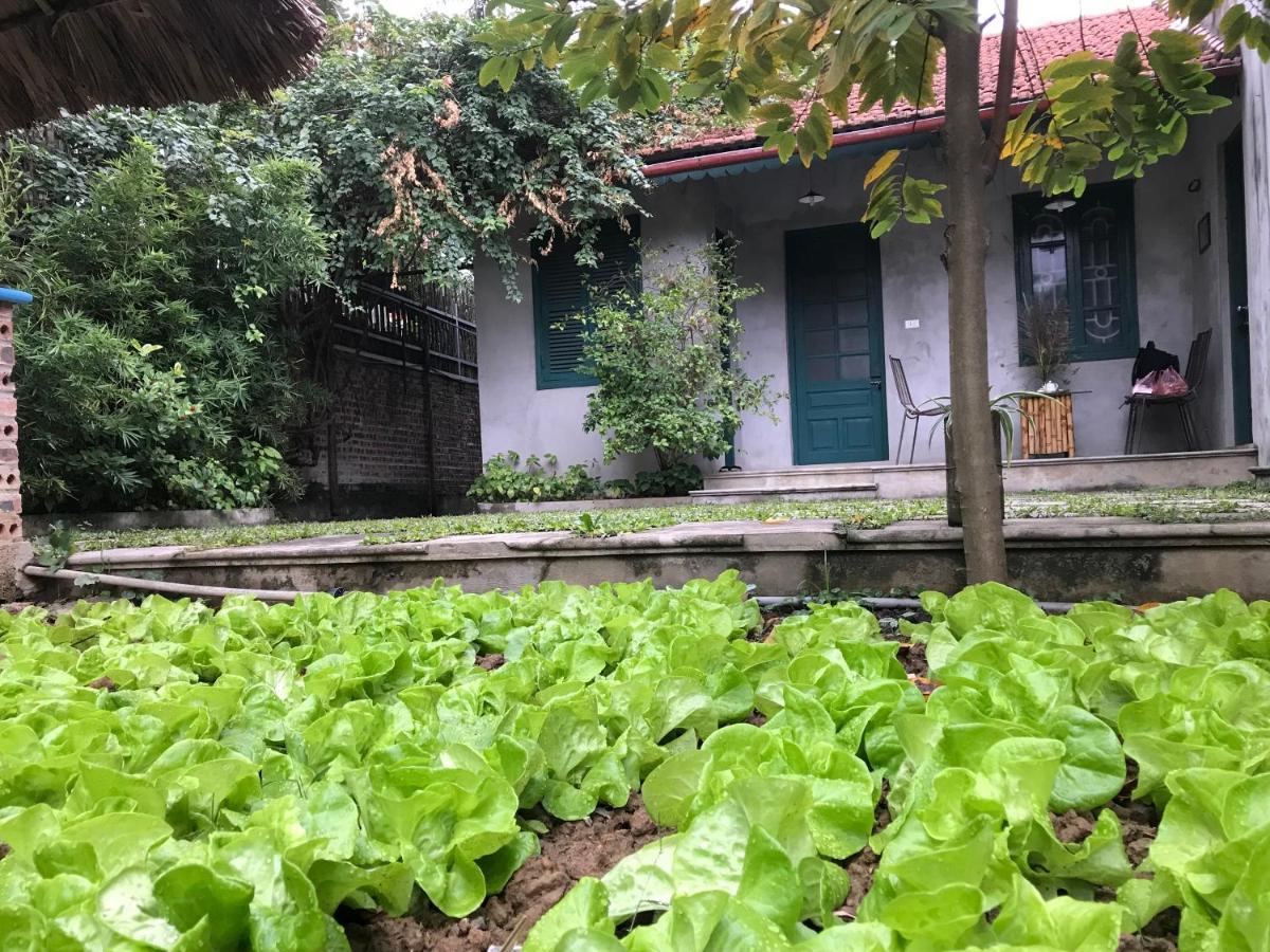 דירות נין בין Tam Coc Eco House מראה חיצוני תמונה