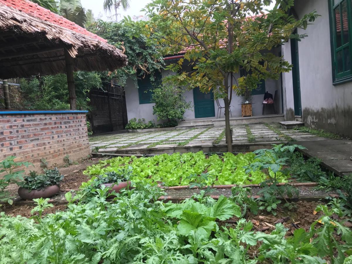 דירות נין בין Tam Coc Eco House מראה חיצוני תמונה