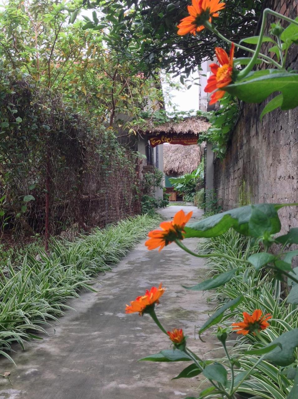 דירות נין בין Tam Coc Eco House מראה חיצוני תמונה